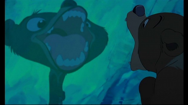 Ayı Kardeş Fotoğrafı