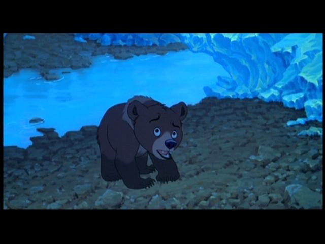 Ayı Kardeş Fotoğrafı