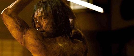 Ninja'nın İntikamı Fotoğrafı