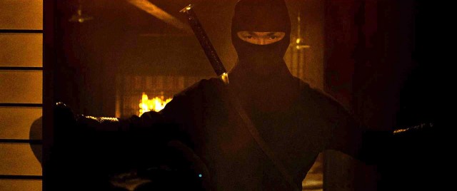 Ninja'nın İntikamı Fotoğrafı