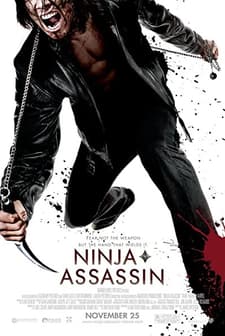 Ninja'nın İntikamı (2009) afişi