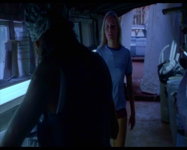 Büyük Dalga Fotoğrafı