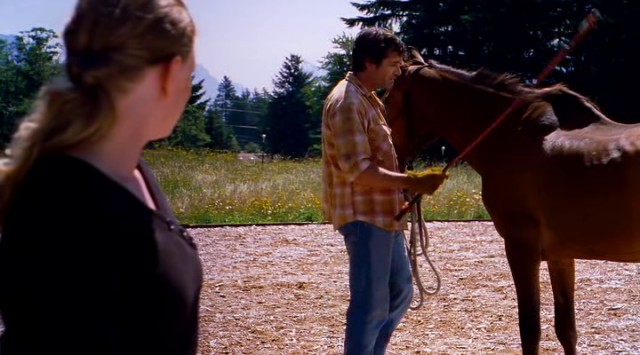 Siyah At Fotoğrafı