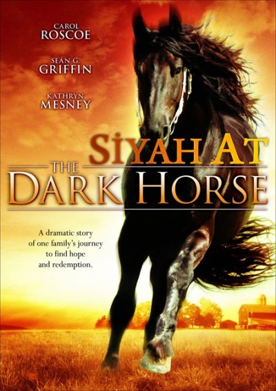 Siyah At Fotoğrafı