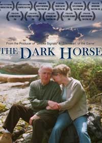 Siyah At Fotoğrafı