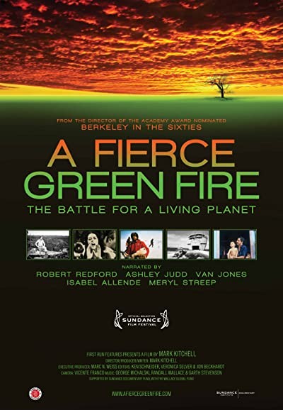 A Fierce Green Fire (2012) afişi