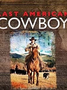 American Cowboy (2010) afişi