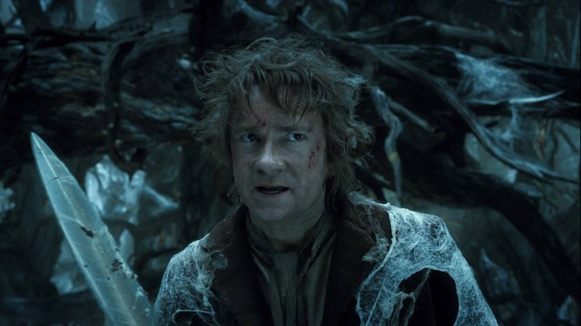 Hobbit: Smaug'un Çorak Toprakları Fotoğrafı