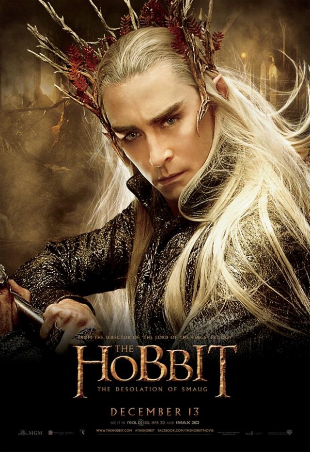 Hobbit: Smaug'un Çorak Toprakları Fotoğrafı