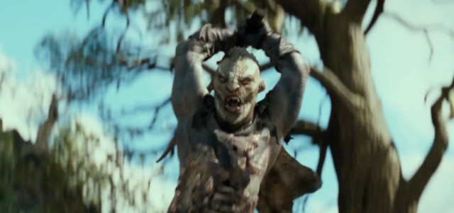 Hobbit: Smaug'un Çorak Toprakları Fotoğrafı