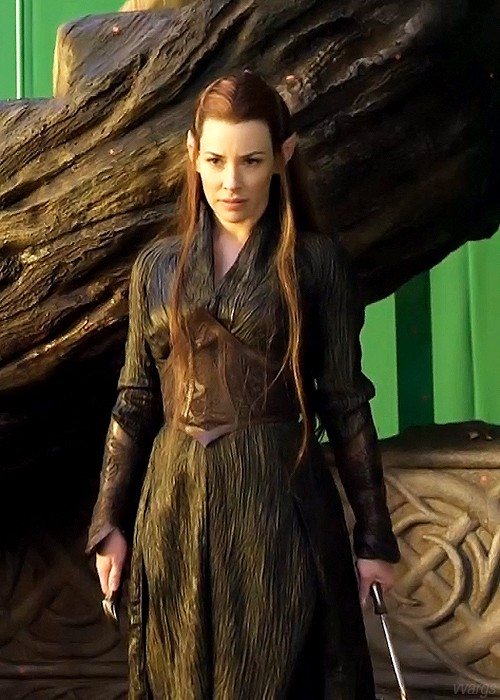 Hobbit: Smaug'un Çorak Toprakları Fotoğrafı