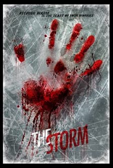 The Storm (2013) afişi