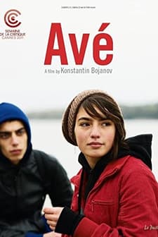 Avé (2011) afişi