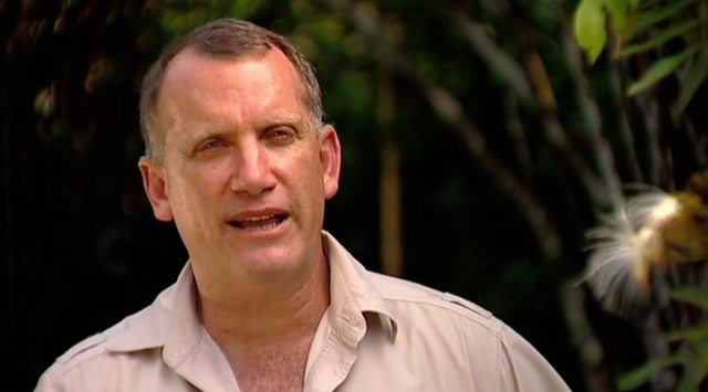 En Vahşi Avcılar: Jaguarın İzinde fotoğrafı