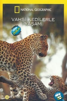Vahşi Kedilerle Yaşam (2007) afişi