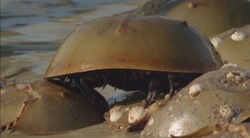 Kingdom of the Sands fotoğrafı