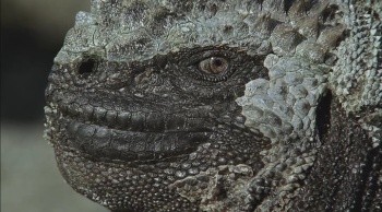 From the Land to the Sea Fotoğrafı