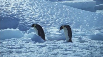 From the Land to the Sea fotoğrafı
