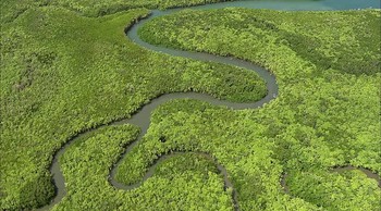 Reef to Rainforest fotoğrafı