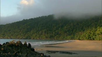 Reef to Rainforest fotoğrafı