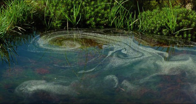 Büyülü Krallık fotoğrafı