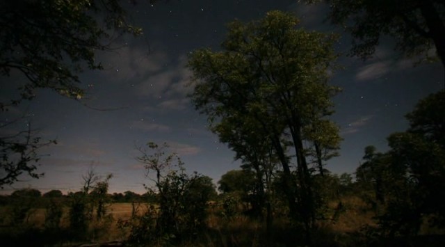 En Vahşi Avcılar: Dehşet Gecesi fotoğrafı