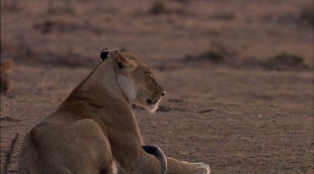 En Vahşi Avcılar: Dehşet Gecesi fotoğrafı