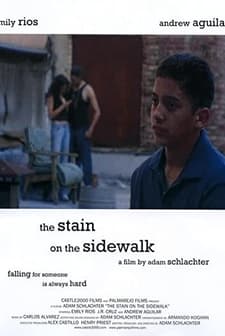 The Stain on the Sidewalk (2007) afişi