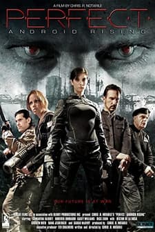 Androidlerin Yükselişi (2013) afişi