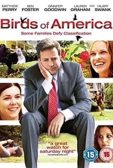 Arıza Aile (2008) afişi