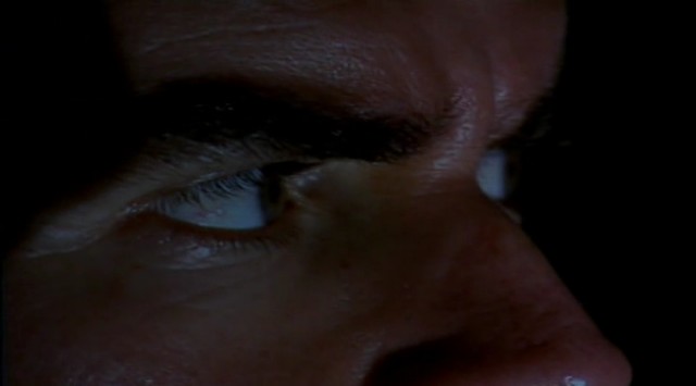 Leoparın Karanlık Dünyası Fotoğrafı