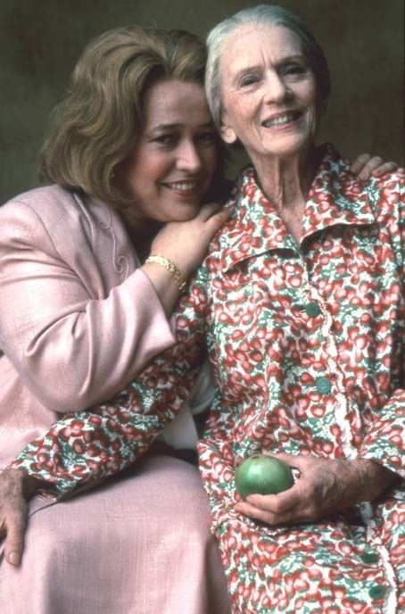 Kızarmış Yeşil Domatesler fotoğrafı