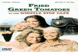 Kızarmış Yeşil Domatesler Fotoğrafı