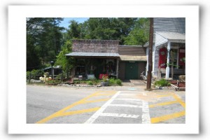 Kızarmış Yeşil Domatesler fotoğrafı