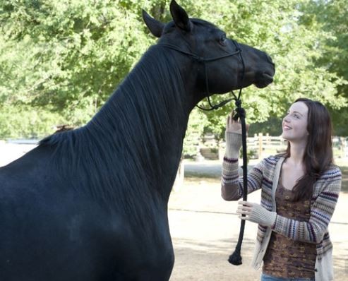 Flicka: Country Pride Fotoğrafı