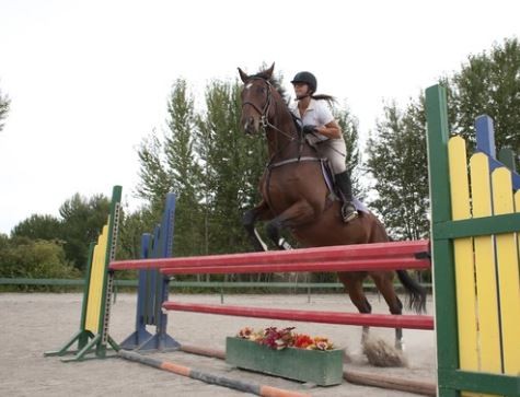 Flicka: Country Pride Fotoğrafı