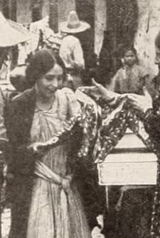 The New Dress (1911) afişi