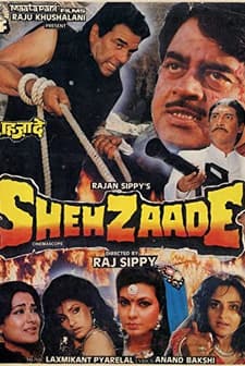 Shehzaade (1989) afişi