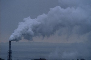 Kurt Cobain: Bir Oğul Hakkında fotoğrafı