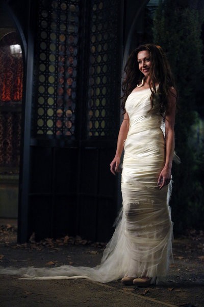 Mockingbird Lane Fotoğrafı