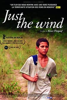 Sadece Rüzgar (2012) afişi