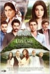 Benim İçin Üzülme (2012) afişi