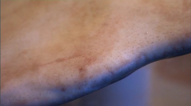 Çekiçbaşlı Köpekbalığının Gizemi fotoğrafı