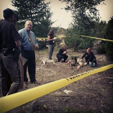 The Cabining Fotoğrafı