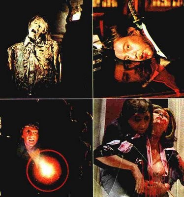 Derin Kırmızı Fotoğrafı