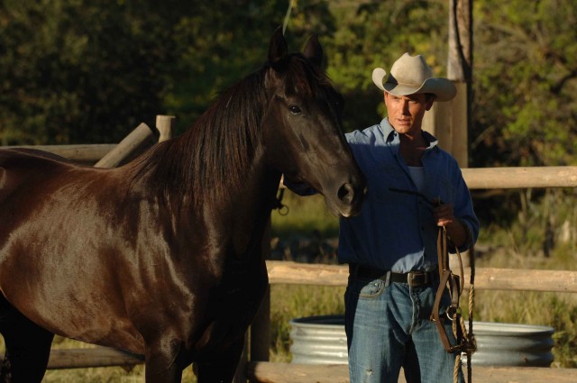 The Stone Angel Fotoğrafı