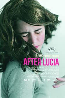 Lucia'dan Sonra (2012) afişi