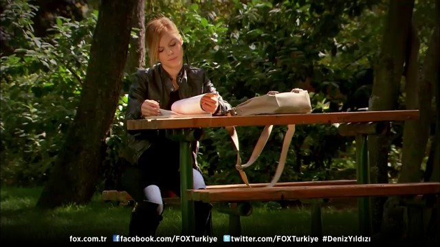 Deniz Yıldızı Fotoğrafı