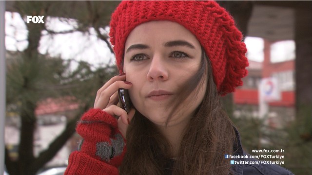 Deniz Yıldızı Fotoğrafı