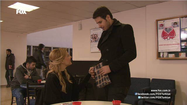 Deniz Yıldızı Fotoğrafı